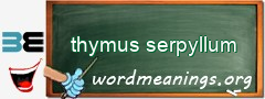 WordMeaning blackboard for thymus serpyllum